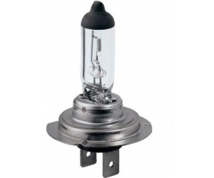 H7 12V MAGNETI MARELLI 